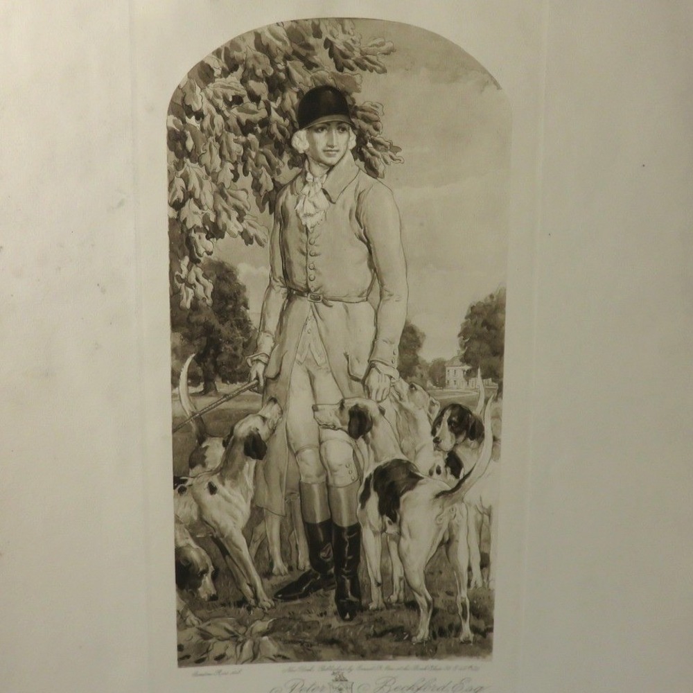 Vintage Gordon Ross Peter Beckford Esq Hunting Hounds Lithograph Print Art
